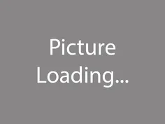 Lateral Link product image