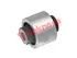 Thumbnail image of Bush - SA2911