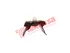 Thumbnail image of Transmission Mounting - SB-8733