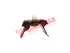 Thumbnail image of Transmission Mounting - SB-8734