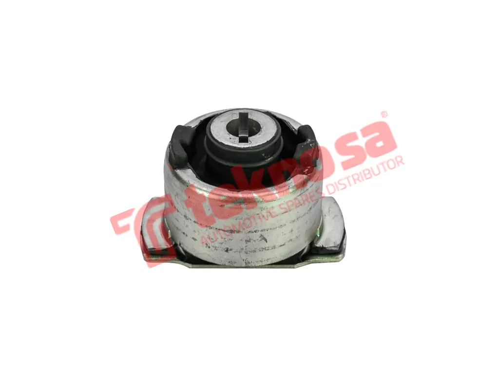 Thumbnail image of Bush - RE2911