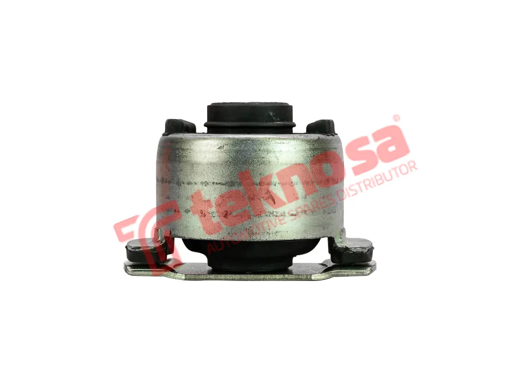Thumbnail image of Bush - RE2911
