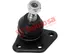 Thumbnail image of Lower Ball Joint - FI1913