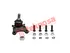 Thumbnail image of Lower Ball Joint - FT1911