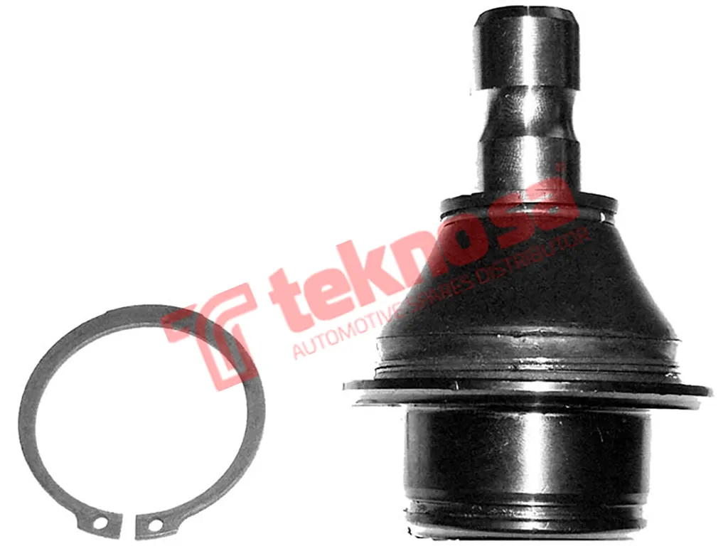 Main image of Lower Ball Joint - NI1919