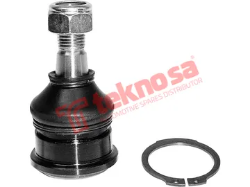 Main image of Lower Ball Joint - NI1922