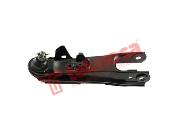 Main image of Lower Control Arm - NI2010