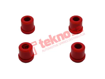 Main image of Shackle Bush - FO2713